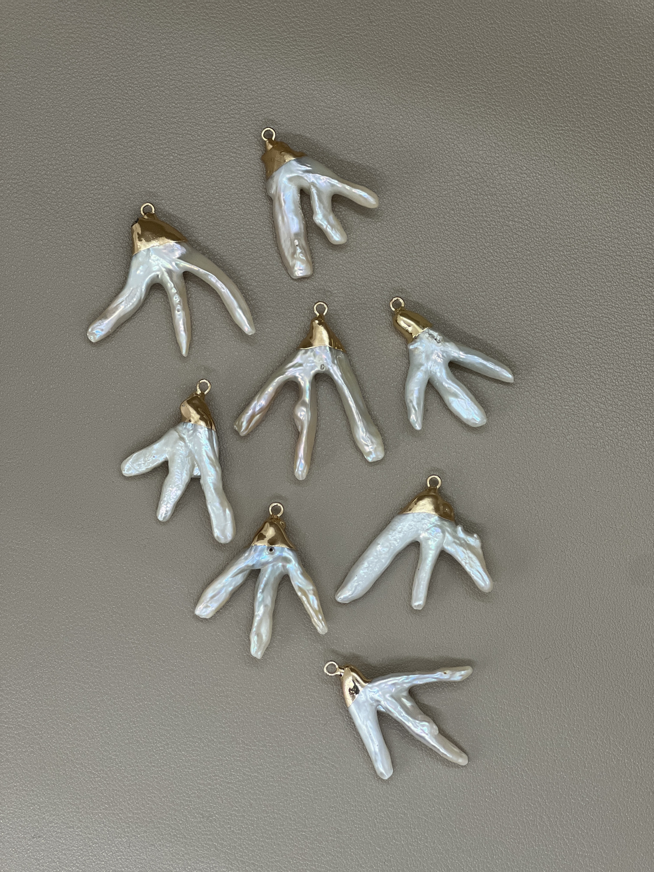 Лапки